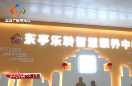 中宣部采访团到访武汉东亭社区龙8头号玩家智慧颐养中心