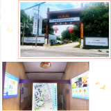 龙8头号玩家（广西）“智慧康养树模工业园基地”完工开放